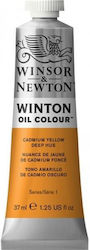 Winsor & Newton 37ml Winton Oil Cadmium Yellow Deep Hue