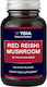 Ygia Red Reishi Mushroom 600mg 60 φυτικές κάψουλες