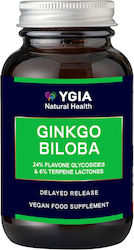 Ygia Ginkgo Biloba 5000mg 60 φυτικές κάψουλες Ygia Ginkgo Biloba 5000mg 60 φυτικές κάψουλες