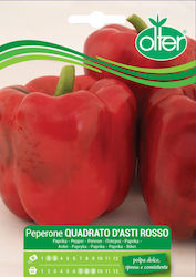 PIPERIA QUADRATO D "ASTI ROSSO Olter