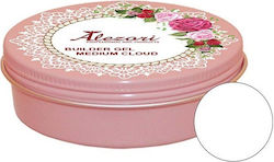 Alezori Medium Cloud Gel Falsche Nagelgel Trans...