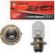Limastar Lamps Car 35/35W LED 12V 1pcs