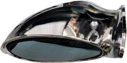 Dectane Car Left Side Mirror with Signal