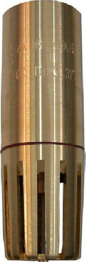 Filter Brass 1/2" 30035