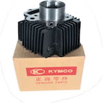 Kymco Motorcycle Cylinders for Kymco Activ