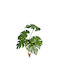 Plantă Artificială Îngropată Monstera Green 50cm Zaros