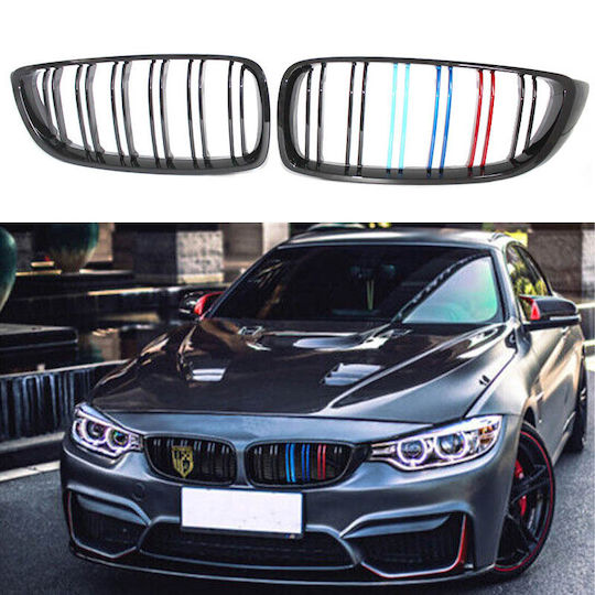 Carner Car Decorative Mask BMW F32 / M4 0029294