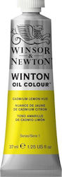 Winsor & Newton 37ml Winton Oil Cadmium Lemon Hue