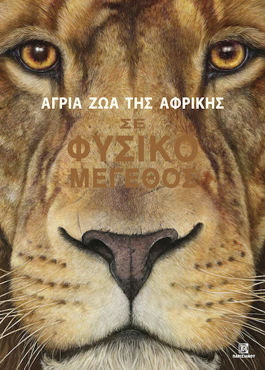 Άγρια Ζώα της Αφρικής σε Φυσικό Μέγεθος