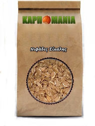 Karpomania Flakes 600gr