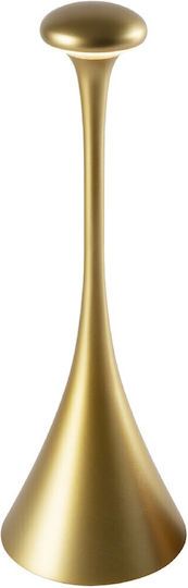 VK Lighting Decorative Table Lamp