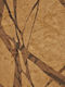 Wall Wallpaper Savana Brown 1005x70cm