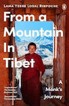 From a Mountain in Tibet