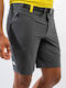 The North Face M CIRCADIAN Men's Hiking Short Trousers Gray