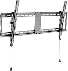 Gembird WM-90T-01 WM-90T-01 Βάση Τηλεόρασης Τοίχου έως 43"
