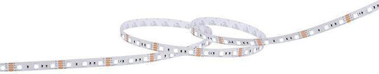 Geyer Αδιάβροχη Ταινία LED 12V Θερμό Λευκό Φως 5m Τύπου SMD2835 με Τροφοδοτικό