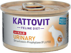 Kattovit Urinary