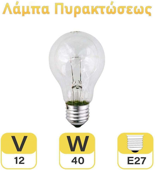 Λάμπα Πυρακτώσεως 40W για Ντουί E27