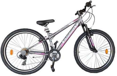 Energy Galaxy 20" Bicicletă pentru copii Biciclete de munte 6 Viteze Gri