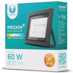 Forever Light Proxim II Forever Light Proxim II