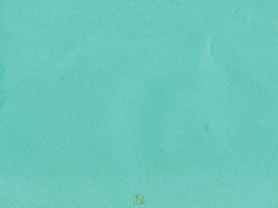 PaperQ Paperq Servet individual Verde 40x30cm 1000buc