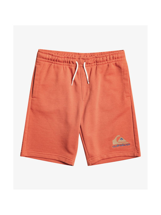 Quiksilver Kids Athletic Shorts/Bermuda Orange