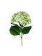 Hortensia ramură 72cm - Verde