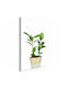 Polihome Plant In Pot Gemälde auf Segeltuch 40x60cm
