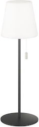 Fischer Honsel Desktop Lighting with Integrated LED Fischer Honsel Desktop Lighting with Integrated LED