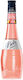 Likör Pink Grapefruit 17% 700ml