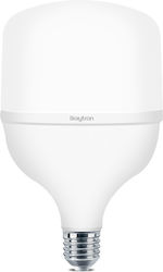 Braytron LED 28W E27 Ψυχρό Λευκό