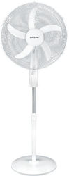 Eurolamp Pedestal Fan 50cm White