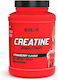 Evolite Creatine Monohydrate Strawberry 1000gr