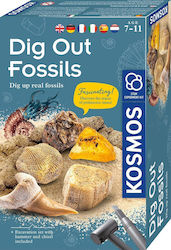 Kosmos Dig Out Fossils για 7+ Ετών Kosmos Dig Out Fossils για 7+ Ετών