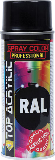 Eco Service Σπρέι Βαφής Top Acrylic Marrone Chiaro RAL 1013 400ml