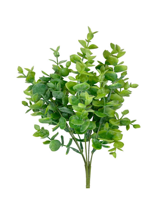 Buchet Eucaliptus 33cm - Verde