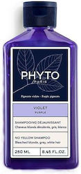 Phyto Violet 250ml Phyto Violet 250ml