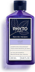 Phyto Violet Shampoos for Coloured Hair 250ml