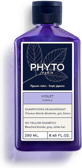 Phyto Violet Shampoos for Coloured Hair 250ml