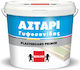 Berling Plasterboard Primer Plasterboard Primer for Plasterboard 0.75lt