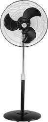Bormann BFN8115 Pe Piedestal 50cm Negru