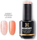 Bluesky Smart Top No Wipe Top Coat for Regular ...
