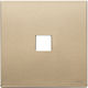 Vimar Switch Frame Gold 22682.1.88
