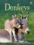 Beginners Donkeys