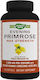 Nature's Way Evening Primrose Max Strength 1300mg Специална Хранителна Добавка за Менопауза 120 Меки Капсули