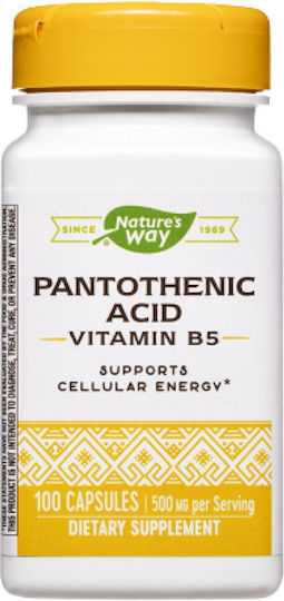 Nature's Way Pantothenic Acid Vitamin B5 Витамин 100 капси