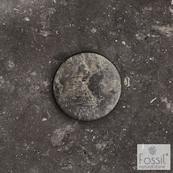 Fossil Τάπα Νιπτήρα Γκρι