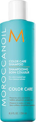 Moroccanoil Color Care Shampoos Color Maintenance for Coloured Hair 250ml