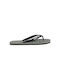 Arena Men's Flip Flops Gray