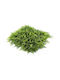 Showood Изкуствена панелна листва Fern 50x50см Premium